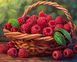 Алмазна мозаїка (вишивка) Кошик з малиною, 40&times;50 см, повна викладка, квадратні камені, на підрамнику AS45448П фото 1