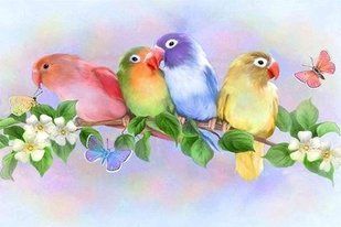 Алмазная мозаика (вышивка) Колоритные попугаи, 30х40см, полная выкладка, квадратные камни, без подрамника AS3406 фото