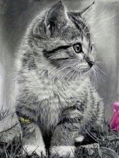 Алмазна мозаїка (вишивка) Сіре кошеня монохром, 30х40см, повна викладка, квадратні камені, на підрамнику AS35187п фото