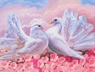 Алмазная мозаика (вышивка) Пара голубей, 30х40см, полная выкладка, квадратные камни, без подрамника AS3413 фото