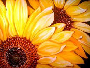 Алмазная мозаика (вышивка) Цветущие подсолнухи, 30х40 см, полная выкладка, квадратные камни, на подрамнике AS35161п фото