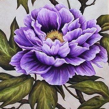 Алмазная мозаика (вышивка) Фиолетовый пион, 25х25см, полная выкладка, квадратные камни, на подрамнике AS252510п фото