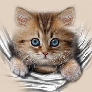 Алмазная мозаика (вышивка) Пушистый котик, 30х30 см, полная выкладка, квадратные камни, без AS3326 фото