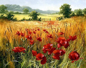 Алмазная мозаика на подрамнике Пшеничное поле с маками, 55&times;70 см, выкладка, квадратные камни, у AS557002П фото